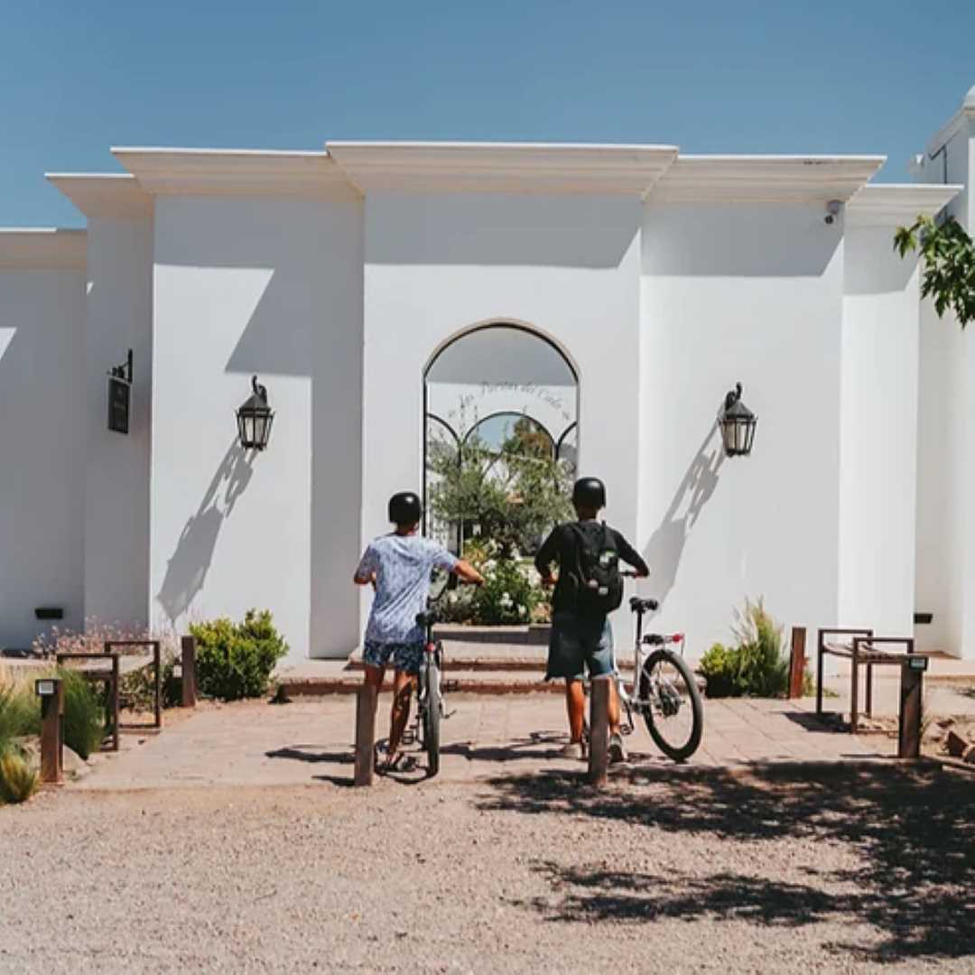 Actividades por los caminos del vino